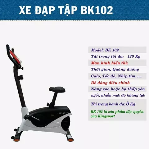 Xe đạp thể dục Air Bike BG 8702 Plus