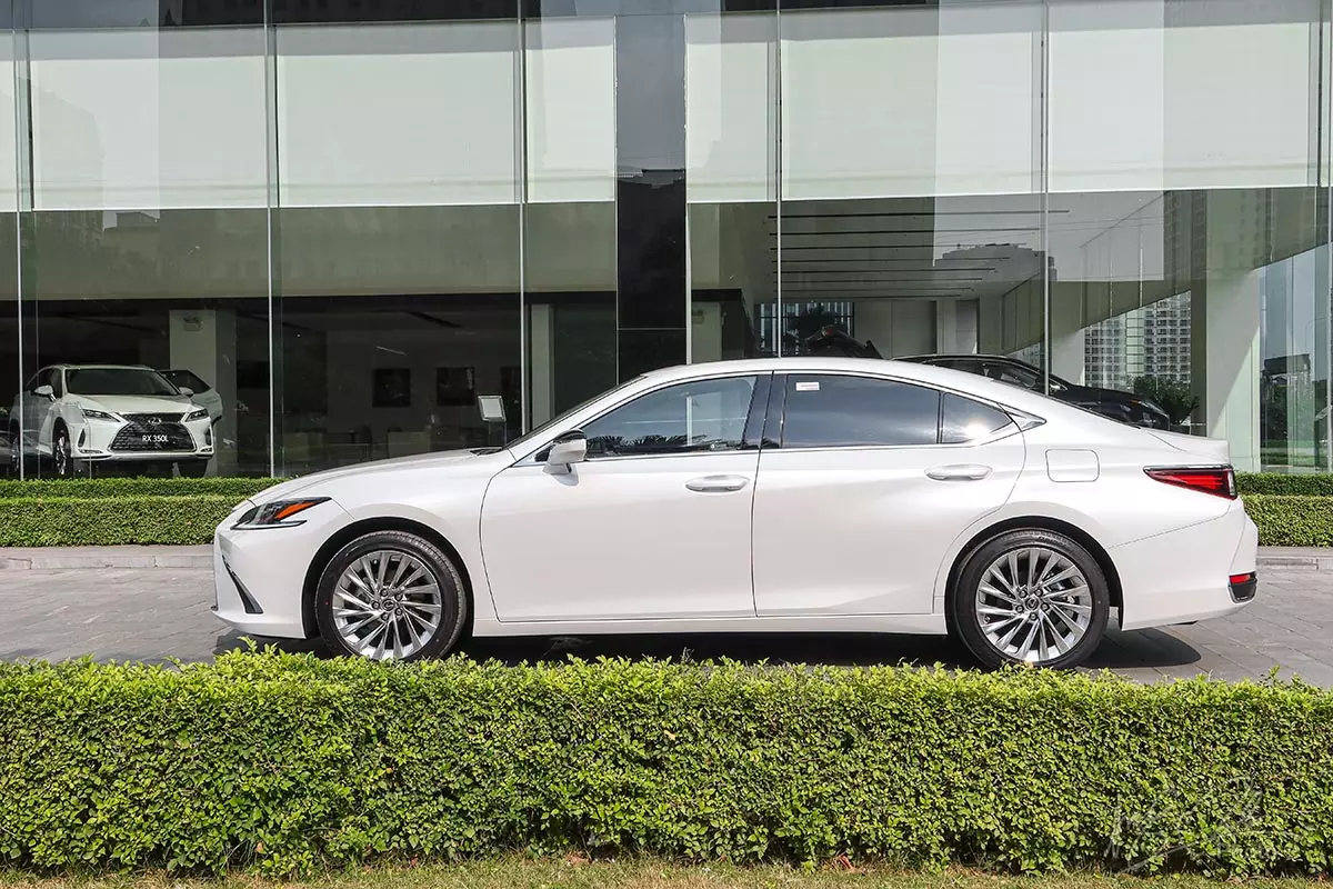 Đánh giá xe Lexus ES 250 2020: Thân xe mang nhiều nét thể thao hơn.