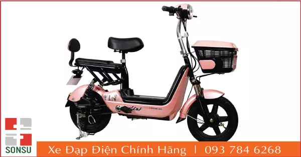 Xe đạp điện 133S cũ