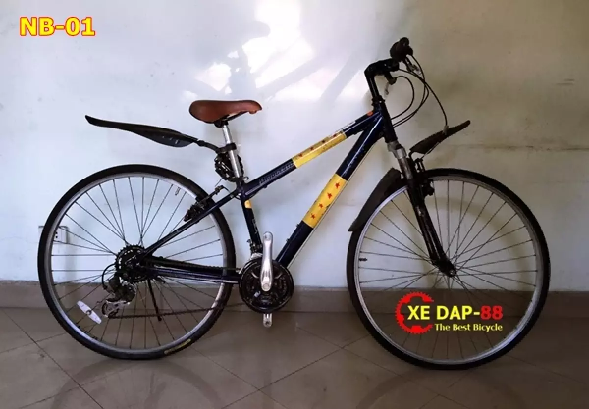 xe dap nhat bai BRID GESTONE 01