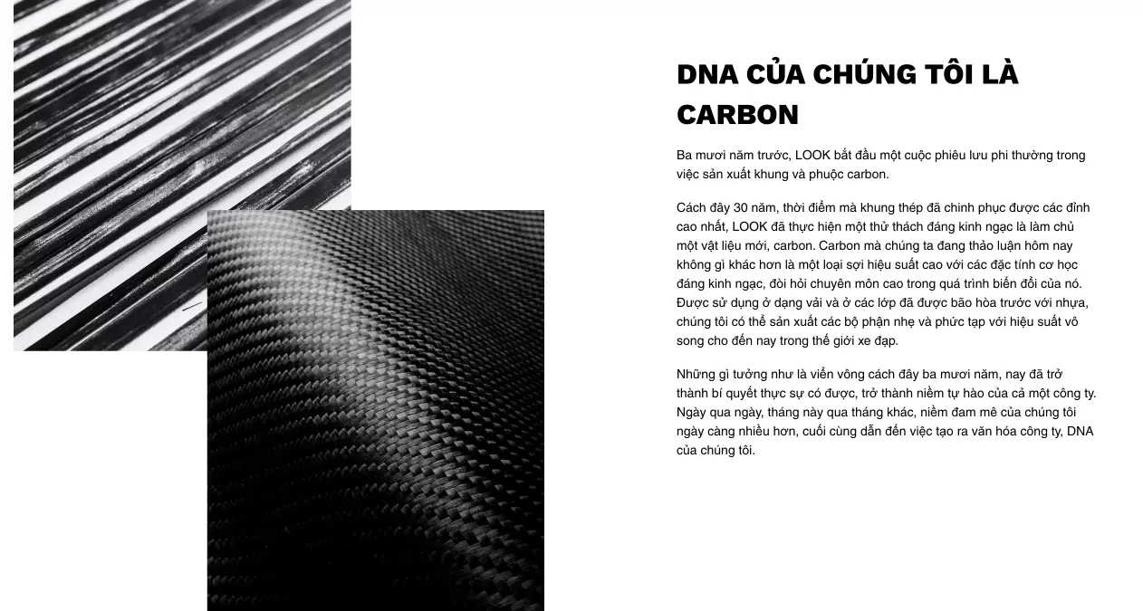 carbon xe đạp look