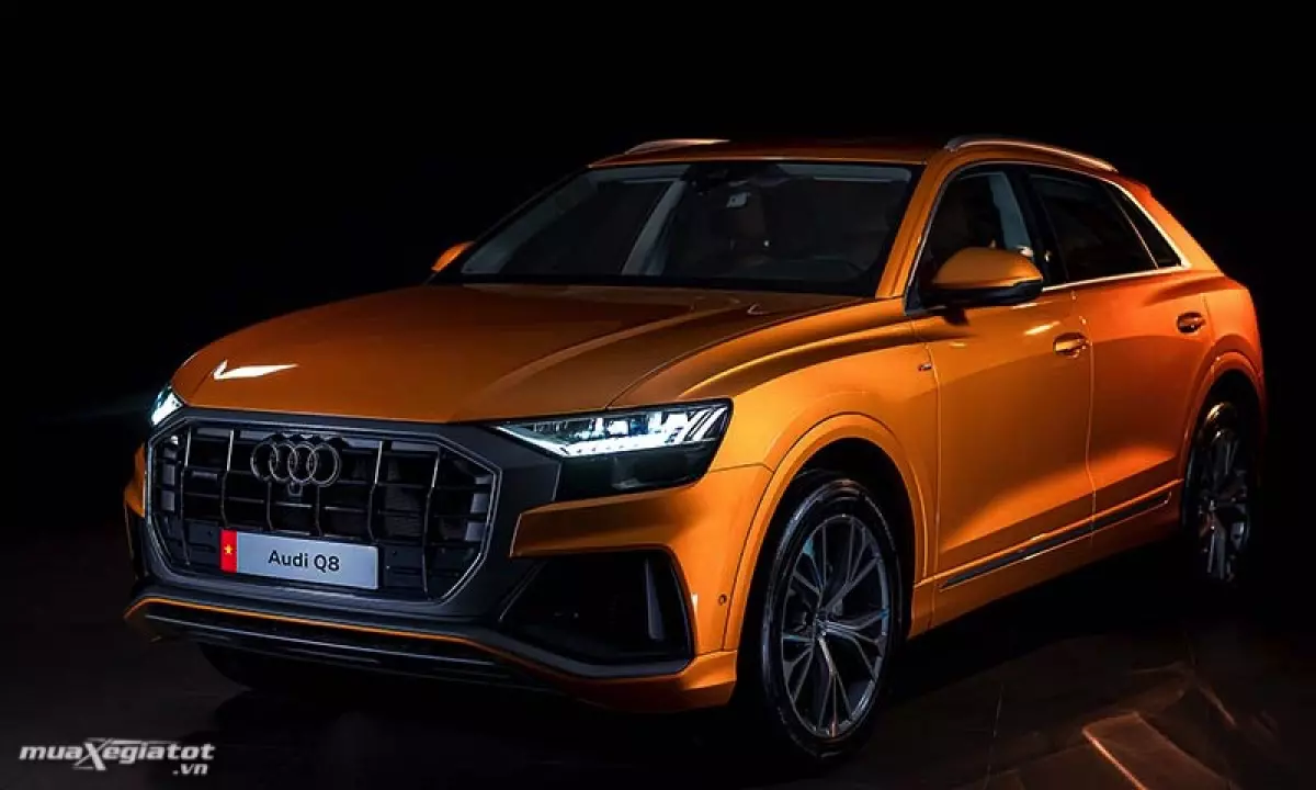 Dau-xe-Audi-Q8-2021-TFSI-55-quattro-Muaxegiatot-vn