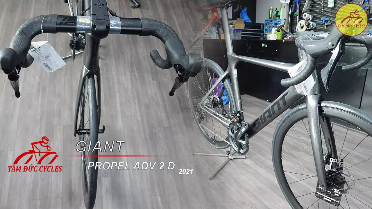 Giant Propel ADV 2 D bản 2021 Sở hữu kiểu dáng tốc độ