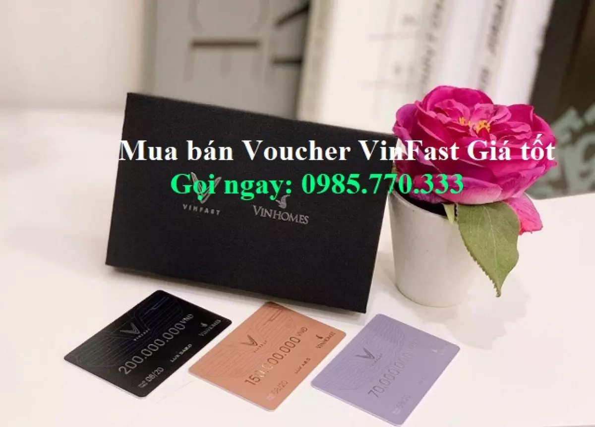 Mua ban Voucher VinFast gia tot