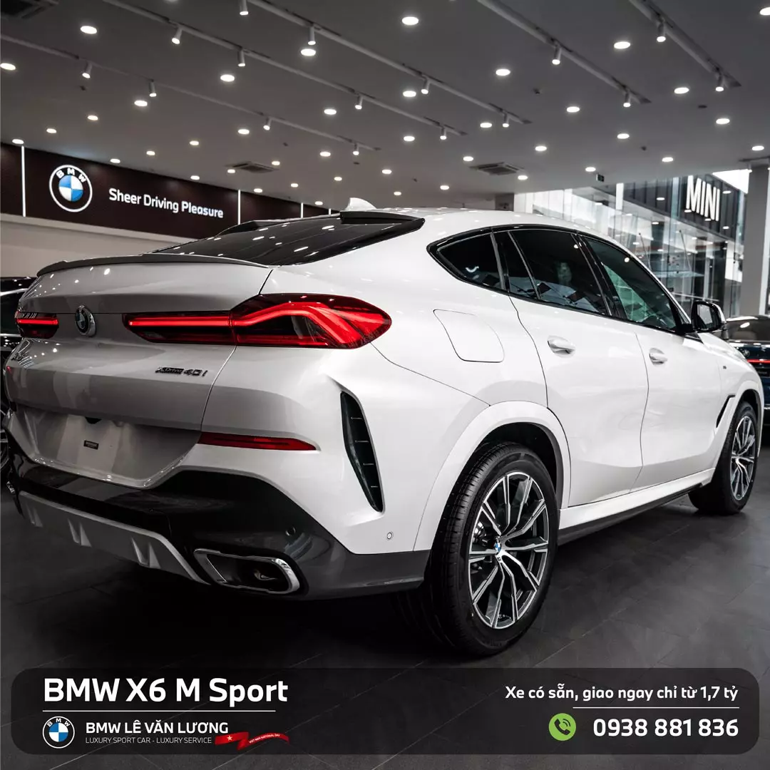 Thân xe BMW X6