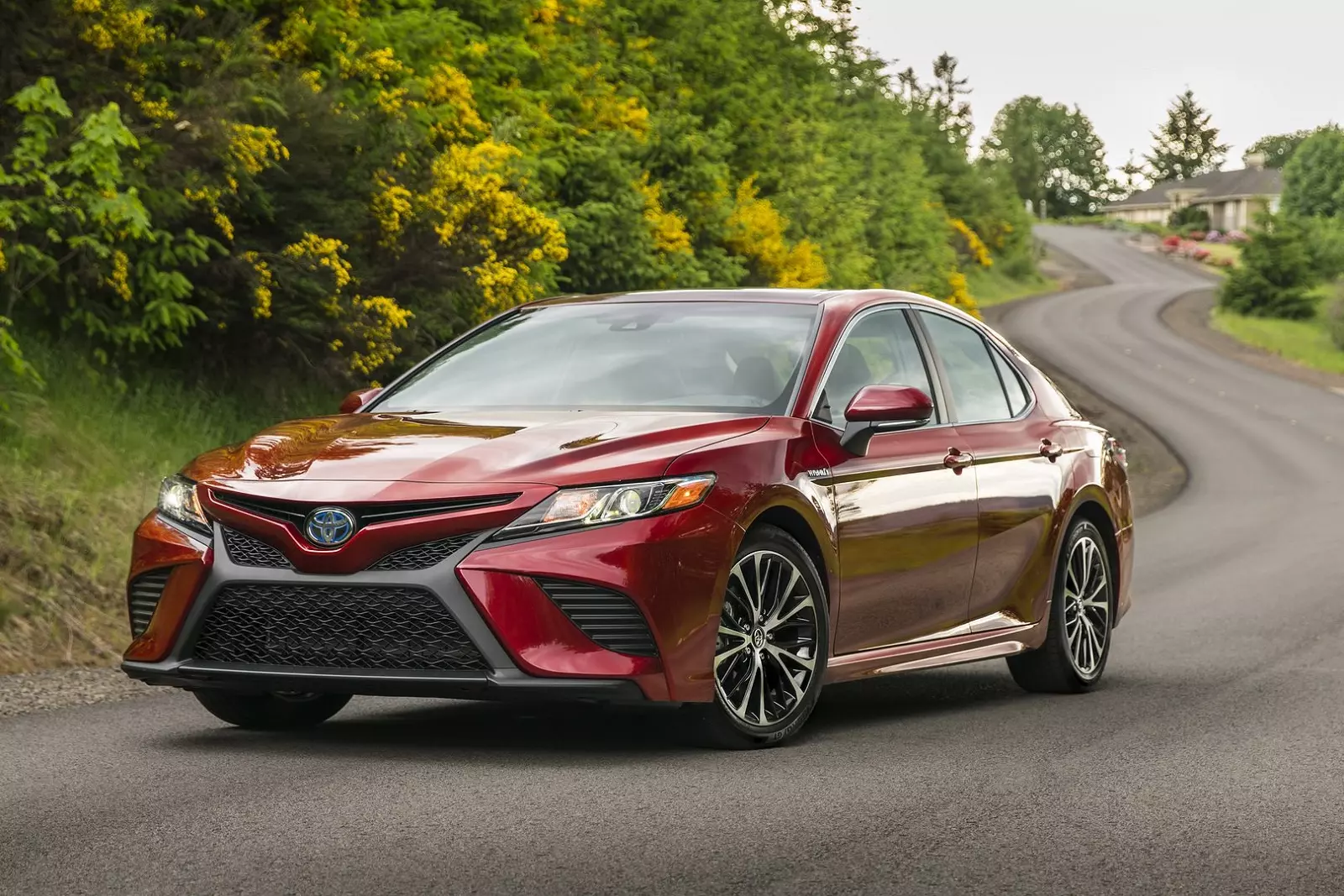 Toyota Camry 2019