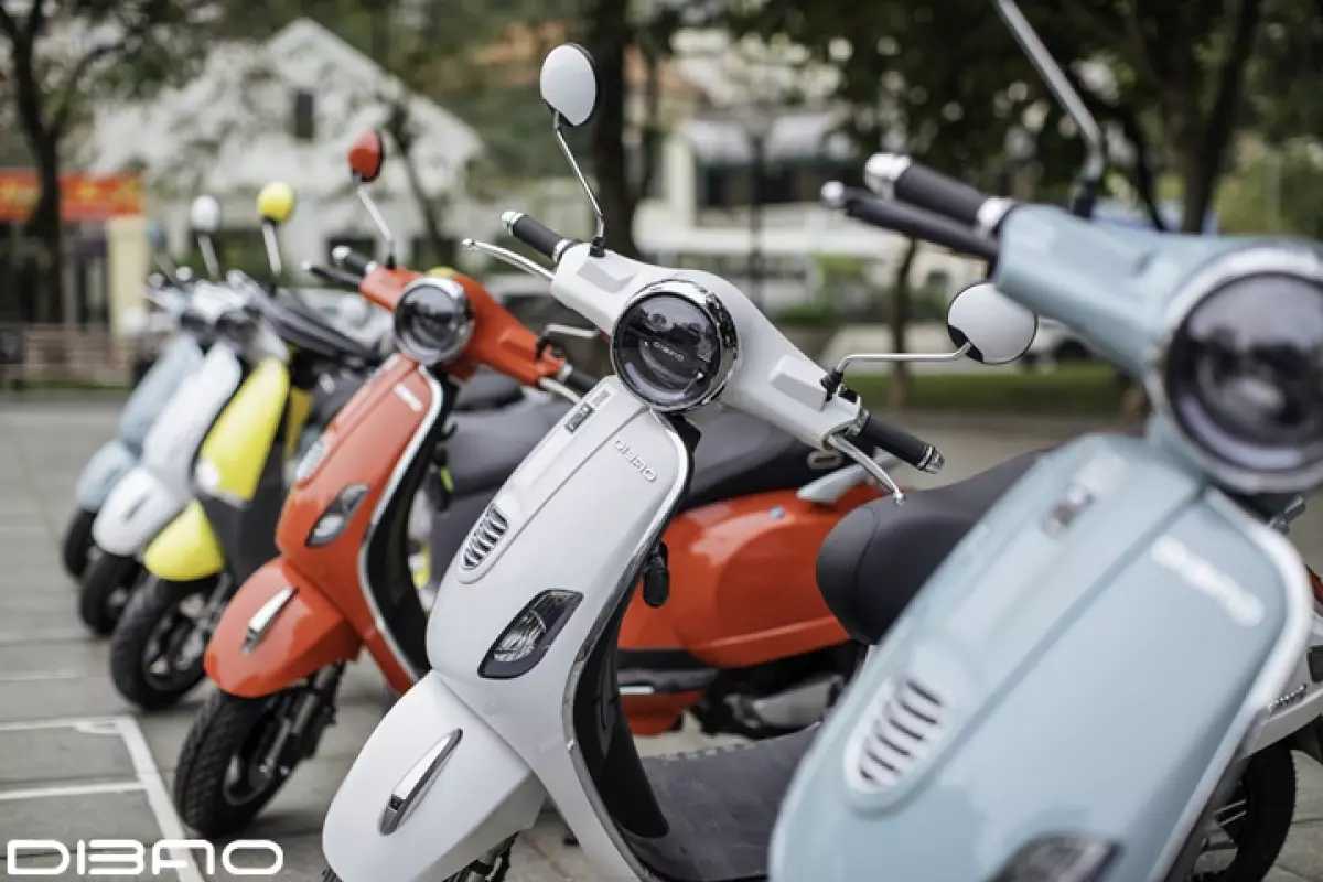 gia-xe-may-dien-vespa-h1