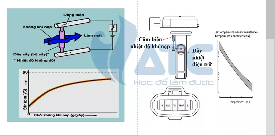 Cấu tạo cảm biến đo khối lượng khí nạp: Kiểu dây sấy (Hot Wire)