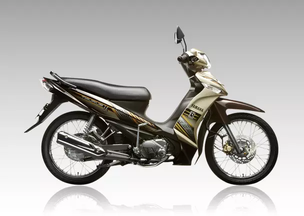 Bảng giá xe Yamaha Taurus LS (mới)