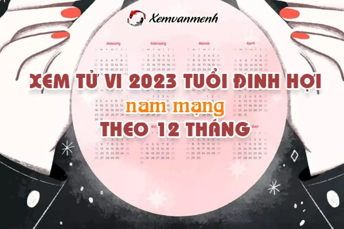 Xem bói tử vi tuổi Đinh Hợi nam mạng năm 2023