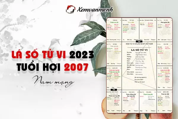 Xem tử vi tuổi Đinh Hợi năm 2023 nam mạng: Học Tập, Tình Duyên