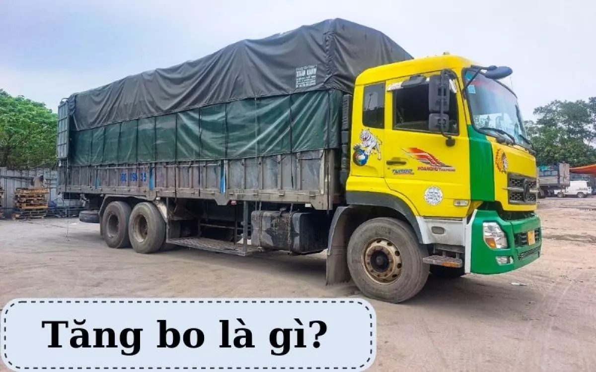 TĂNG BO LÀ GÌ?