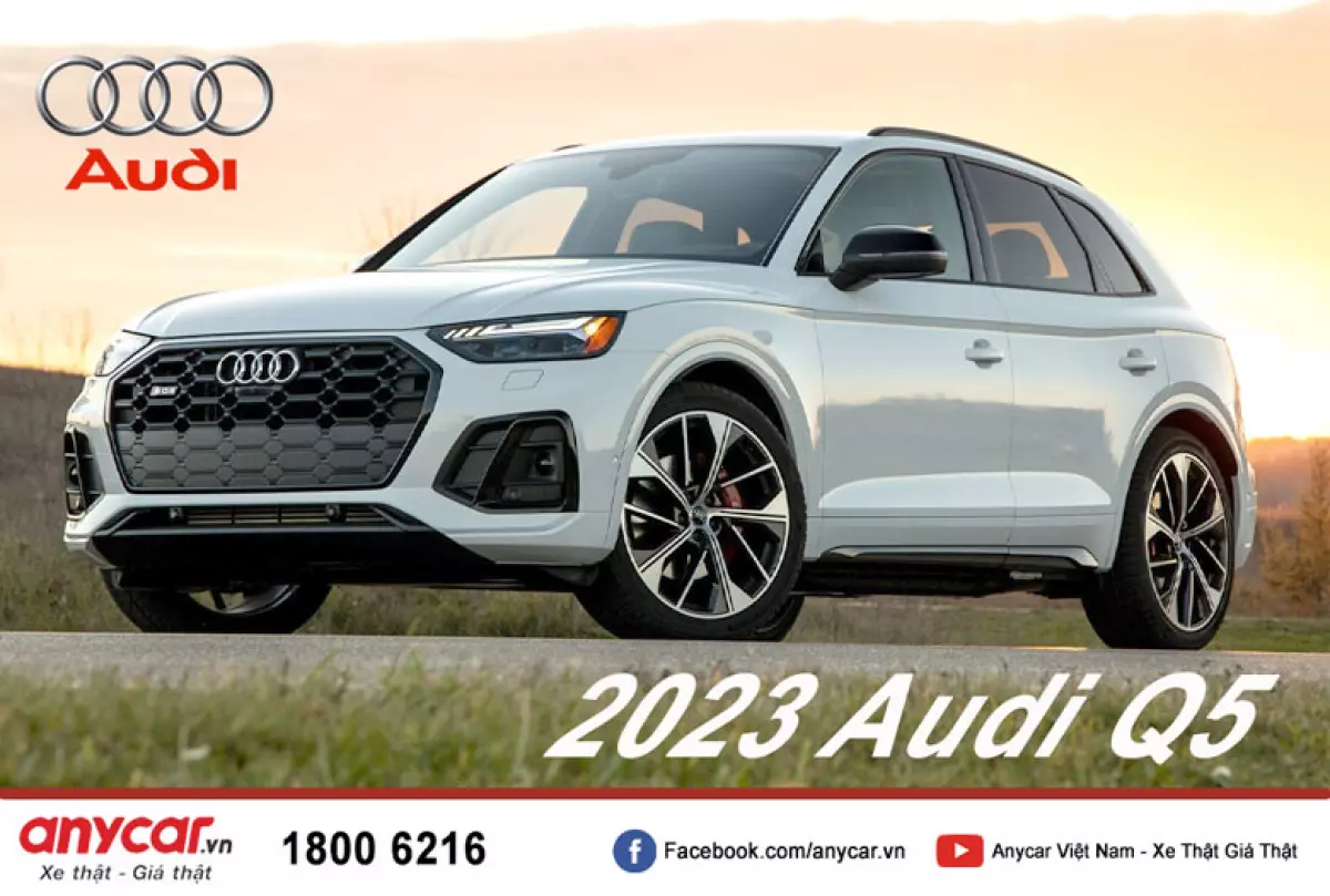 Audi Q5 2023