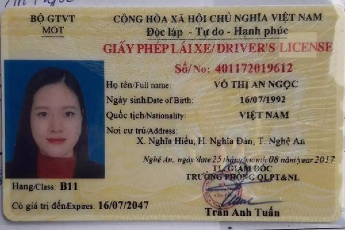 Giấy phép lái xe B1 là gì?