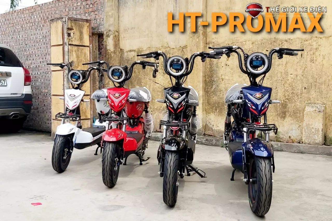 Xe đạp điện HT Bike Pro Max