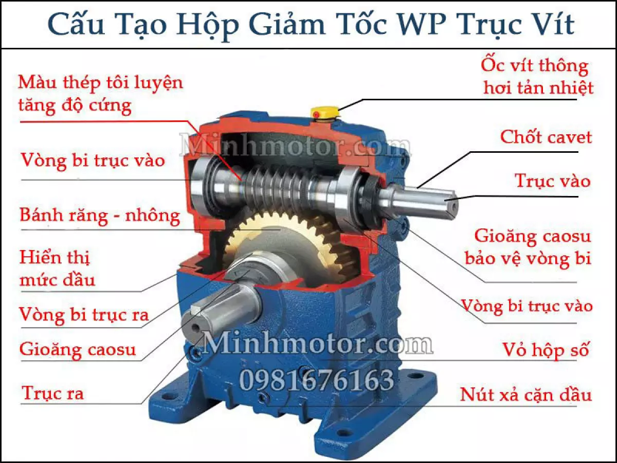 Motor giảm tốc trục vít