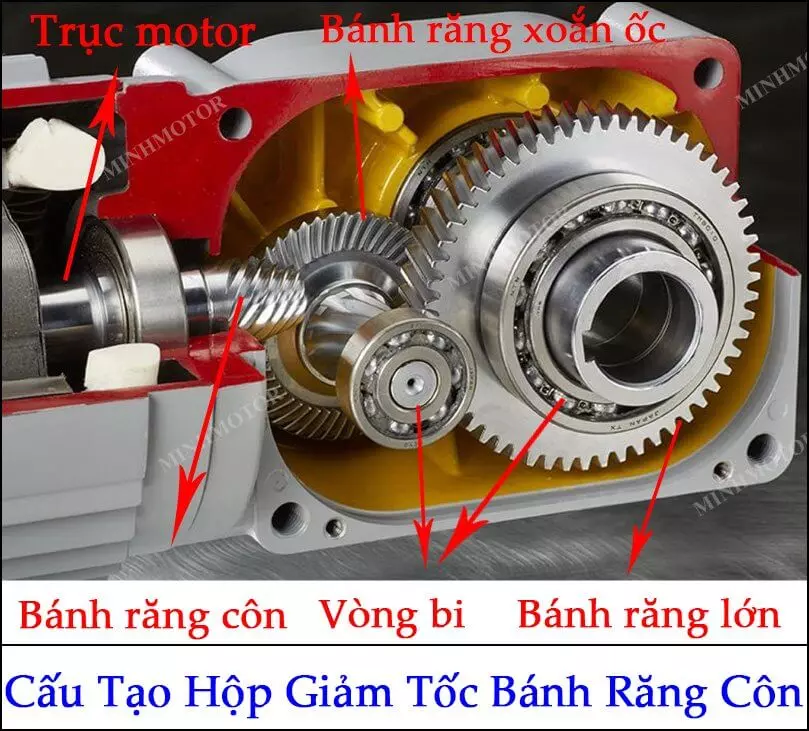 Motor giảm tốc bánh răng côn (K)