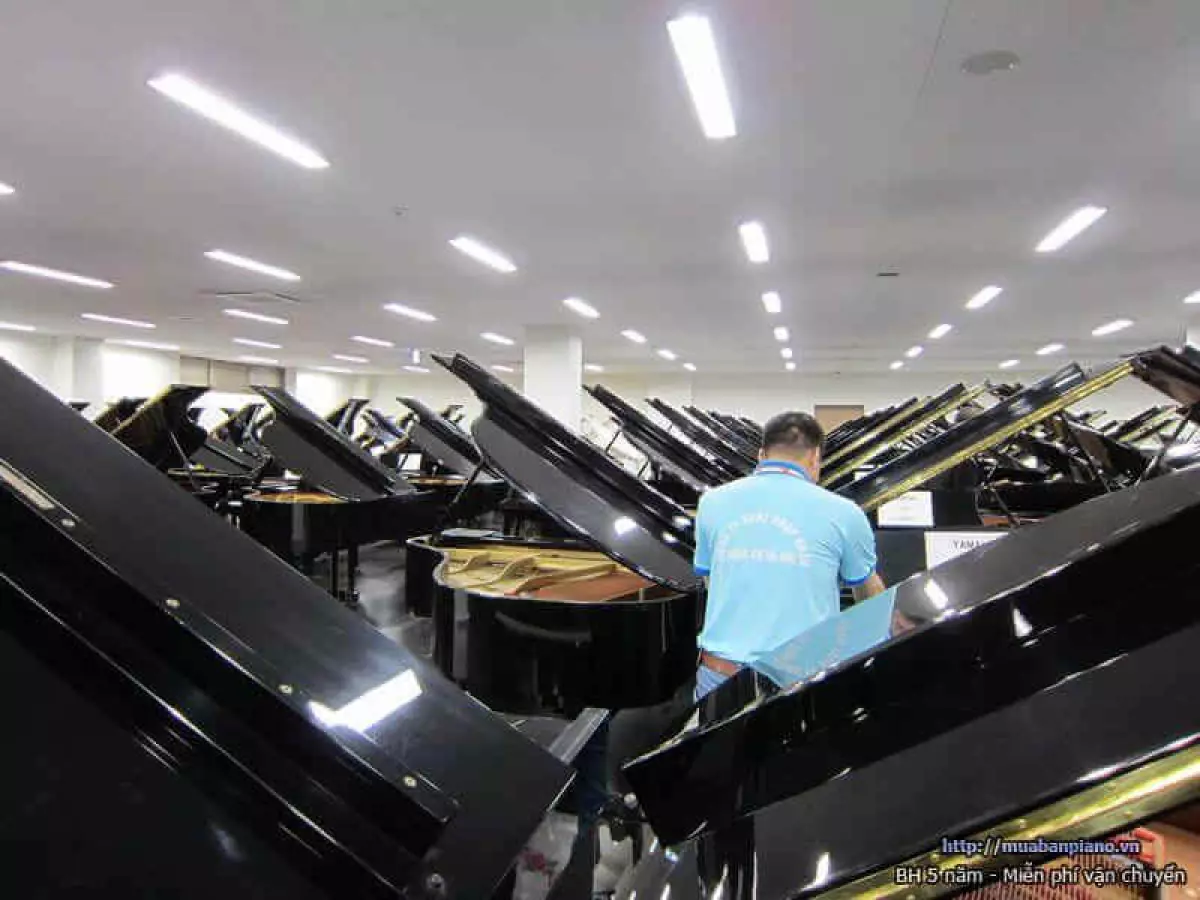 Kho đàn Piano: Chuyên bán các dòng piano Yamaha như Yamaha U1H, Yamaha U3H, Yamaha U30BL..