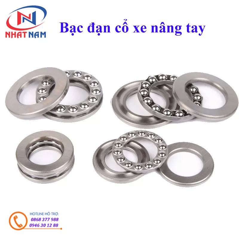 Bạc đạn cổ xe nâng tay