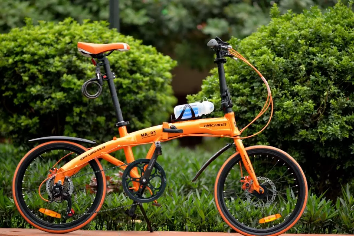 Xe đạp gấp Hachiko HA01