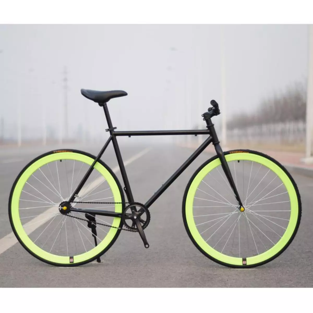 xe đạp thể thao single speed