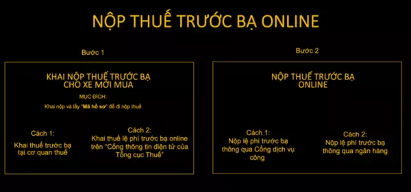 Các bước khai, nộp lệ phí trước bạ