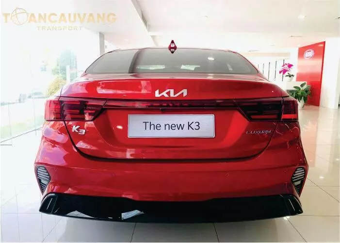 Thiết kế sau xe