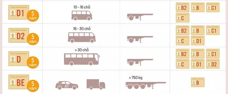 Các loại giấy phép lái xe có thời hạn