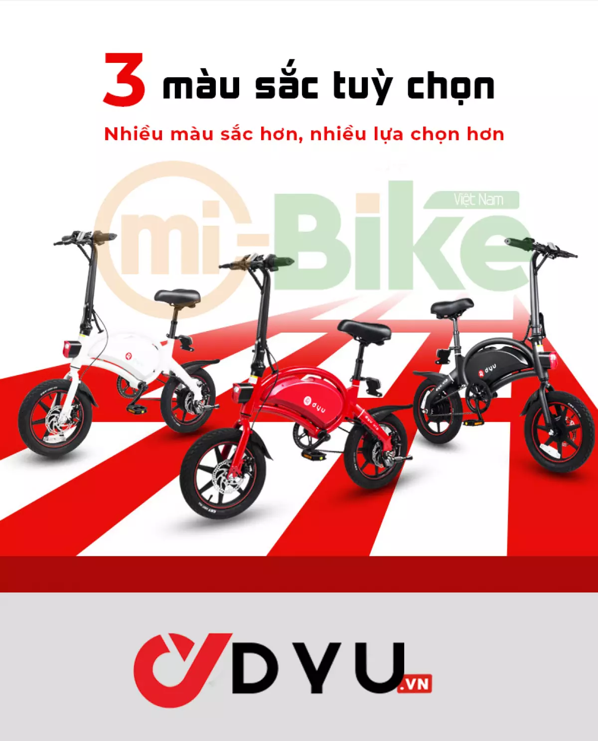 Xe điện DYU D4