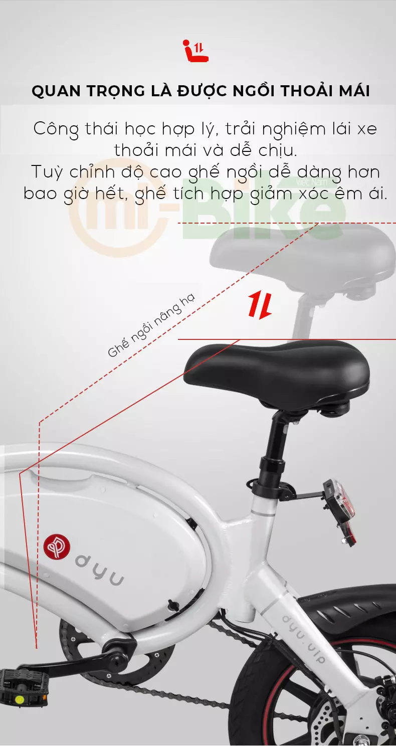 Xe điện DYU D4