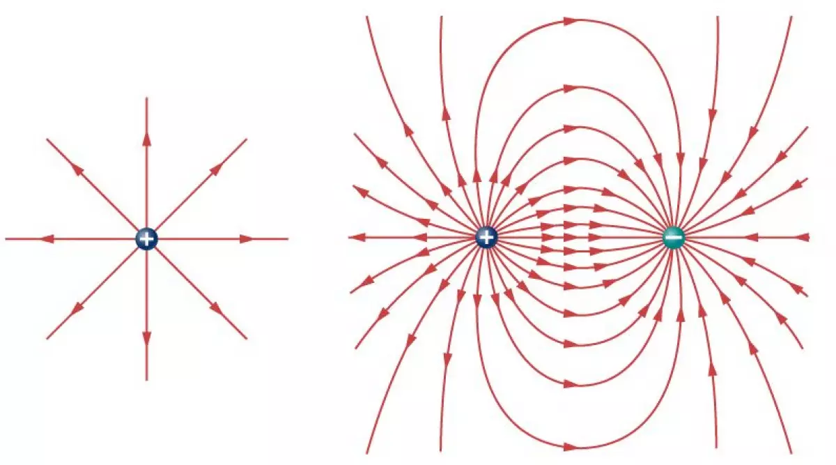 vectơ E = F/q