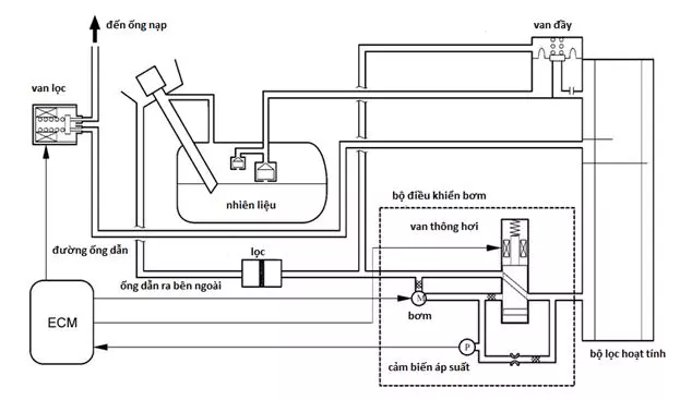 hệ thống kiểm soát hơi xăng EVAP