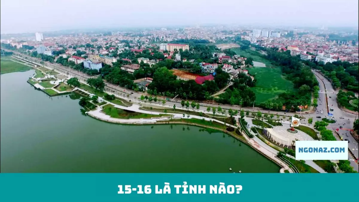 19 là tỉnh nào?