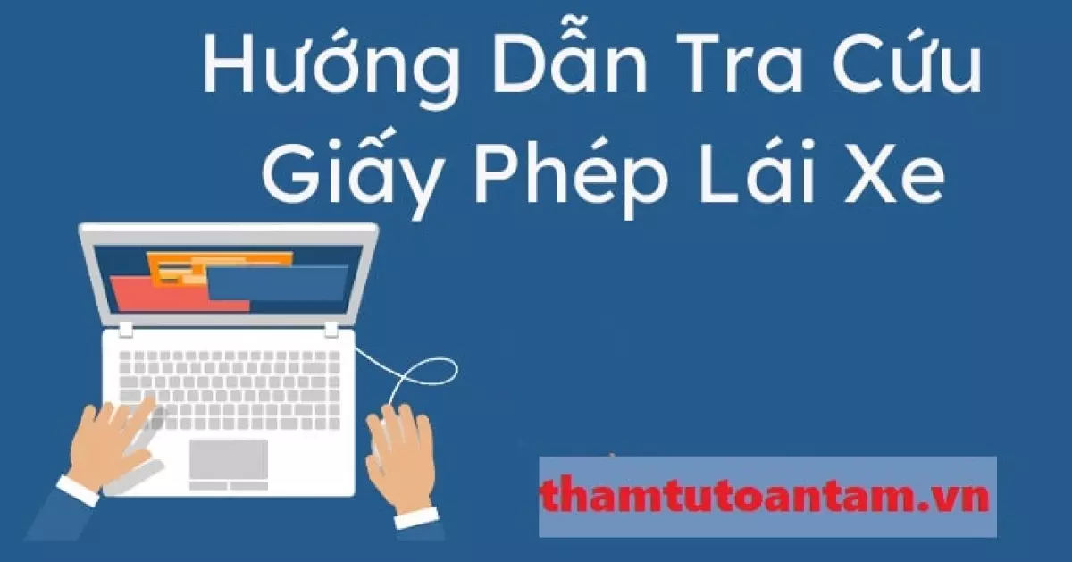 hướng dẫn tra cứu giấy phép lái xe theo CMND