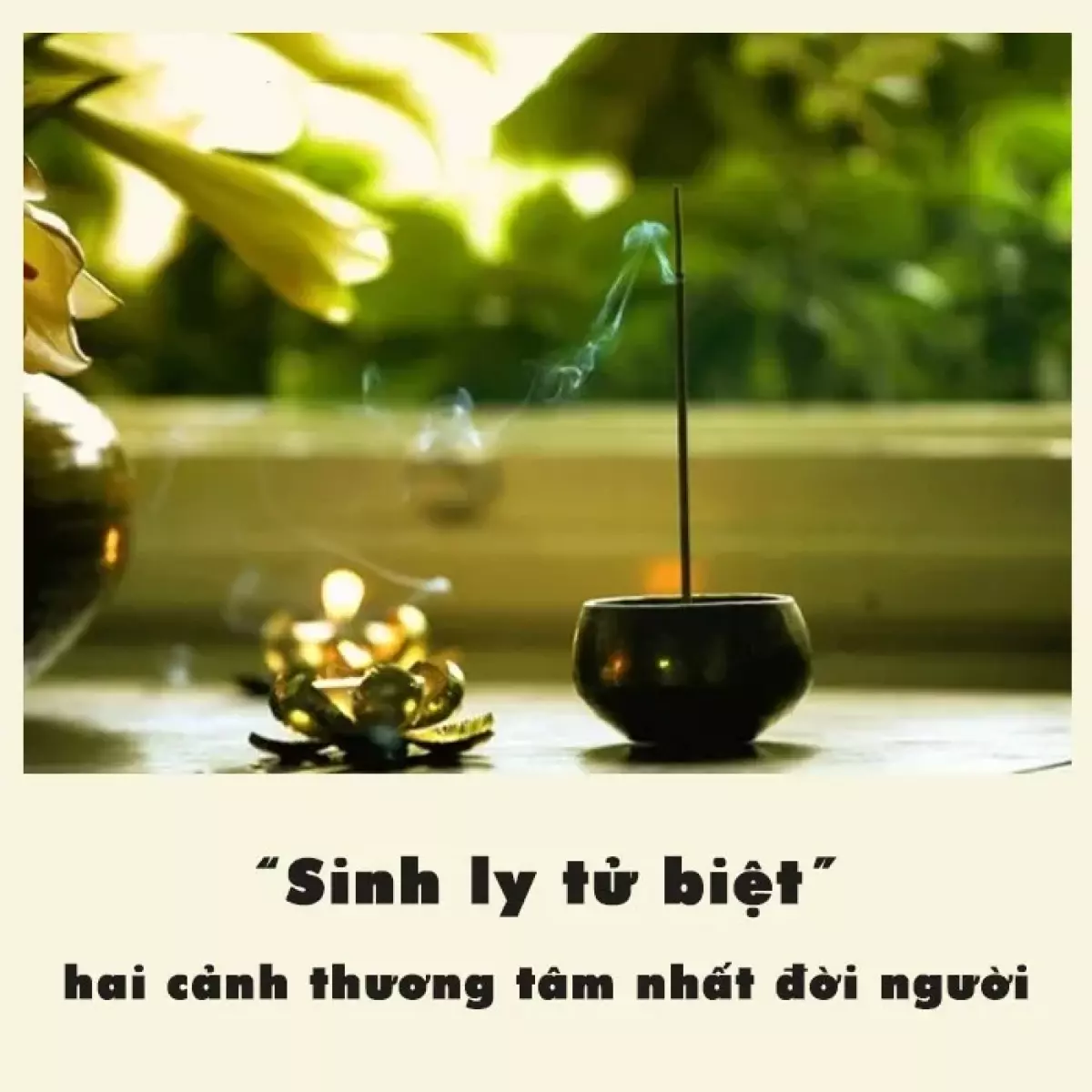 Sinh ly tử biệt