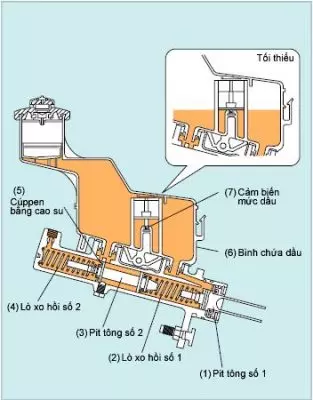 Cấu tạo chính