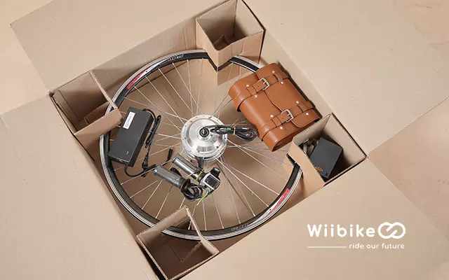 Bộ kit trợ điện Wiibike