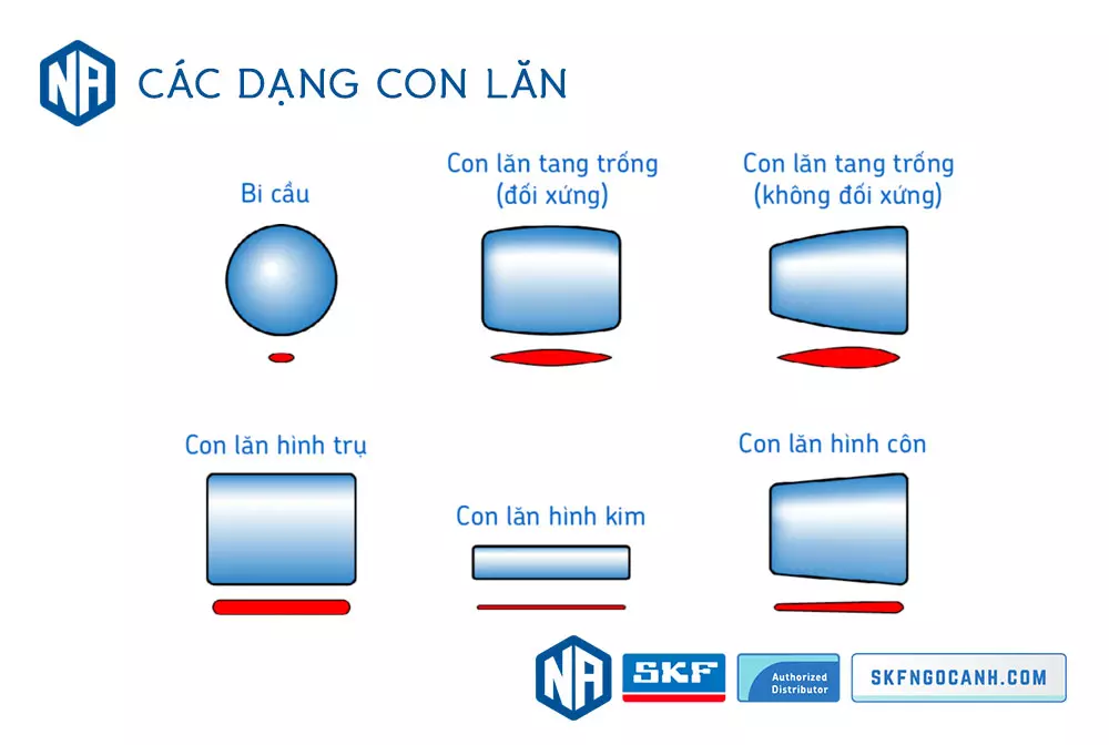 Các dạng con lăn vòng bi SKF