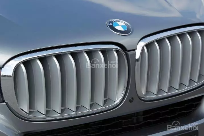 Đánh giá xe BMW X5 2017-2018: Lưới tản nhiệt.