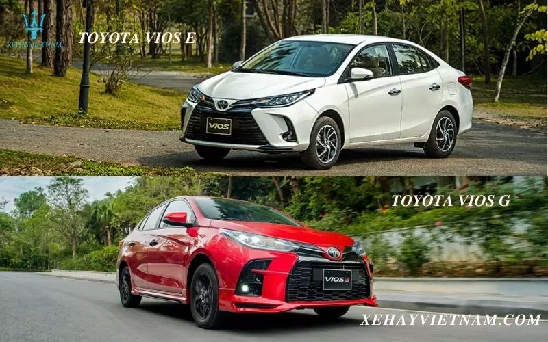 Ngoại thất Vios E và G