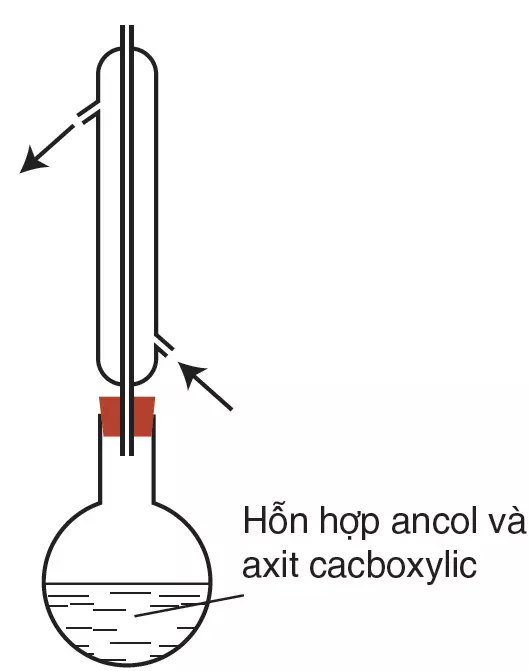 So sánh tính axit của HCl và CH3COOH