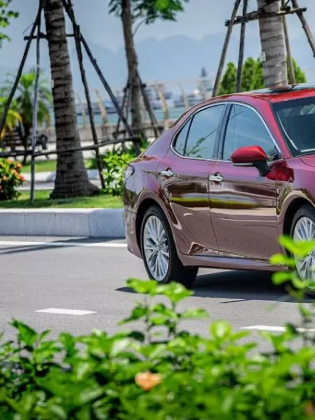   Mua bán xe ô tô Toyota Camry 2019 cũ