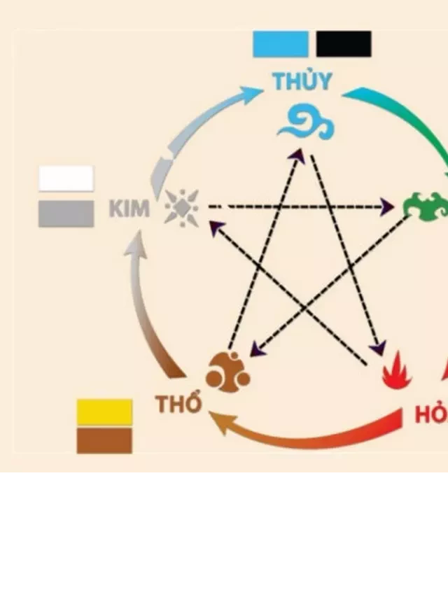   Tuổi Giáp Tý 1984: Bí quyết chọn màu xe phong thủy