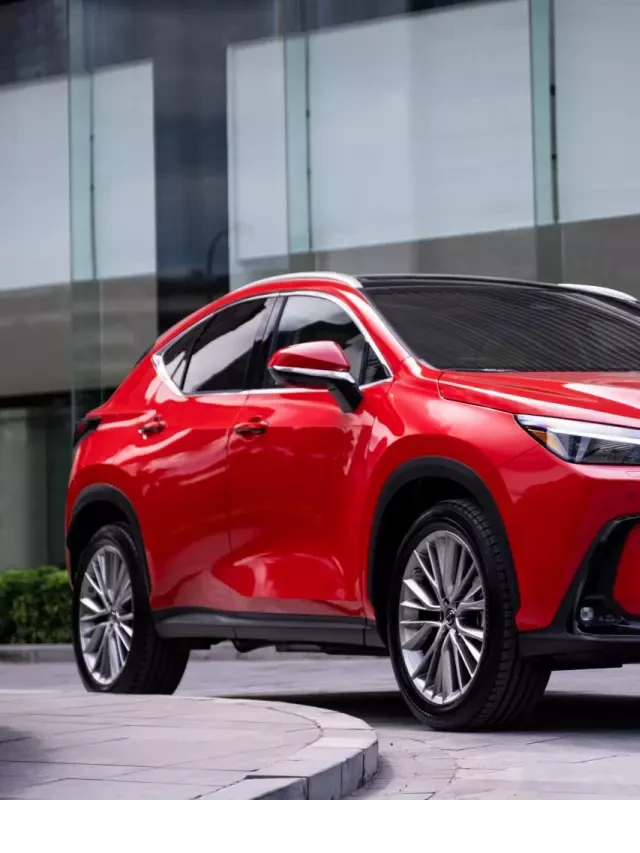   Bảng giá xe Lexus kèm ưu đãi hấp dẫn tháng 1/2024