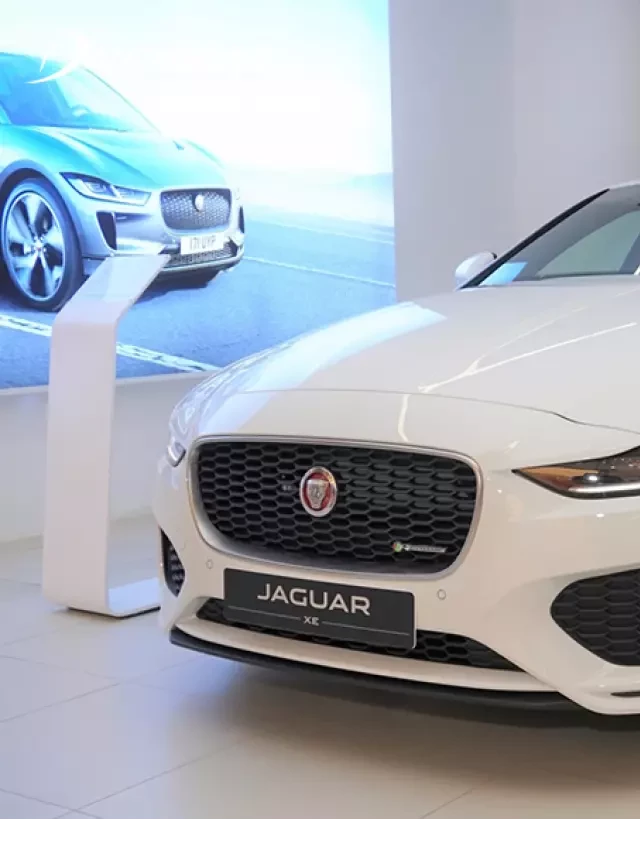   Giá xe ô tô Jaguar: Tự tin thể hiện sự sang trọng và hiệu suất cao