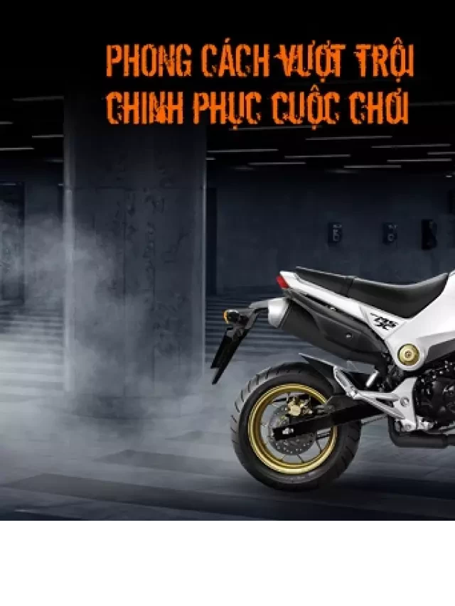   MSX 125: Mẫu xe côn tay với phong cách cực chất để thể hiện cá tính khác biệt