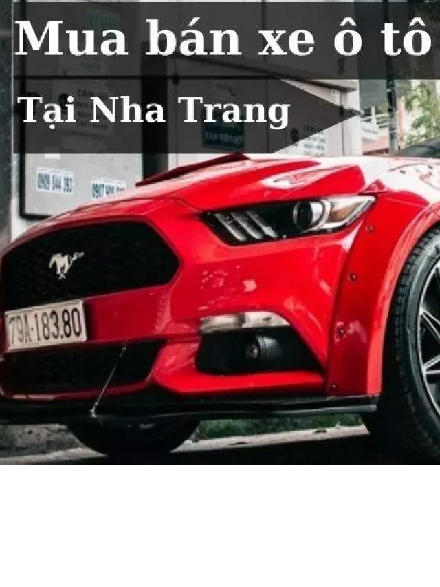   Mua Bán Ô Tô Cũ Tại TP. Nha Trang Giá Rẻ - T1/2024