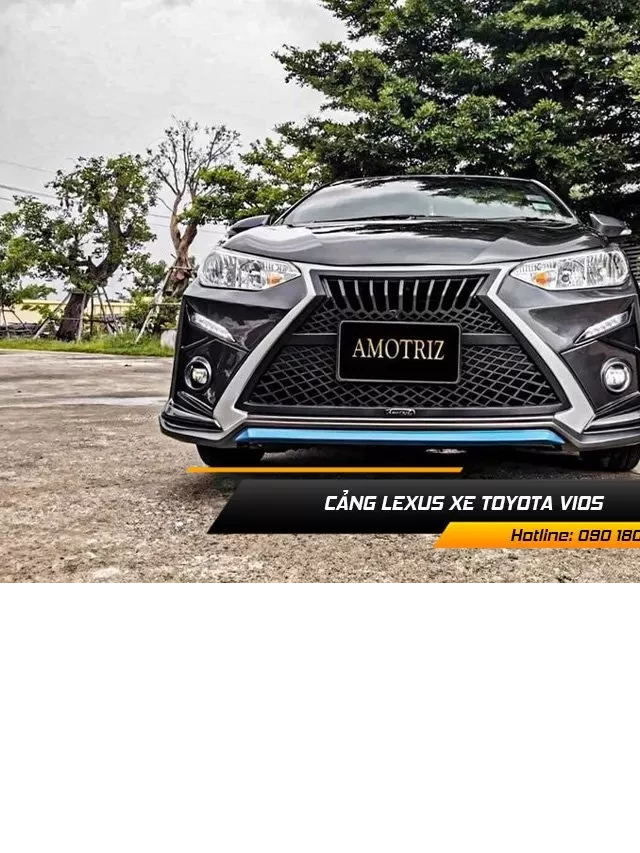   Phụ Kiện Xe Toyota Vios: Đồ Chơi Chính Hãng, Giá Tốt