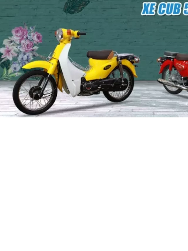   Bảng giá xe Honda 50cc: Top 6 mẫu xe Honda 50cc ưa chuộng nhất