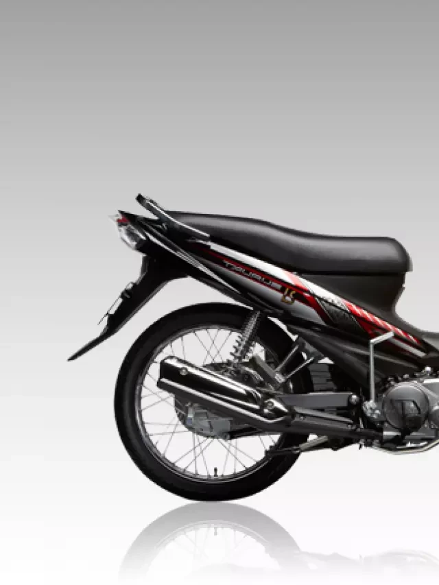   Bảng giá xe Yamaha Taurus LS (mới)